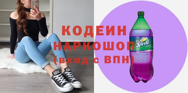 хмурый Няндома