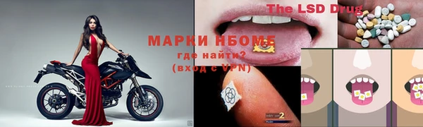 гидра Абаза