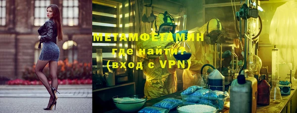 гидра Абаза
