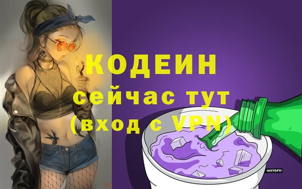 гидра Абаза