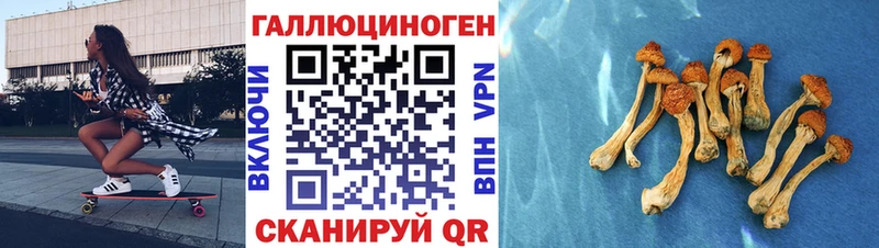 Псилоцибиновые грибы прущие грибы  mega tor  Нижняя Тура 